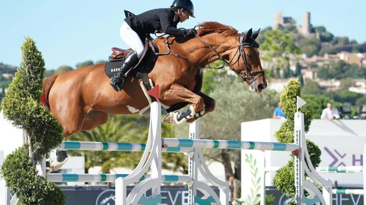 Boréale de Fondcombe, ici à l'Hubside Jumping de Grimaud, est la jument de tête de Marie Pellegrin. 