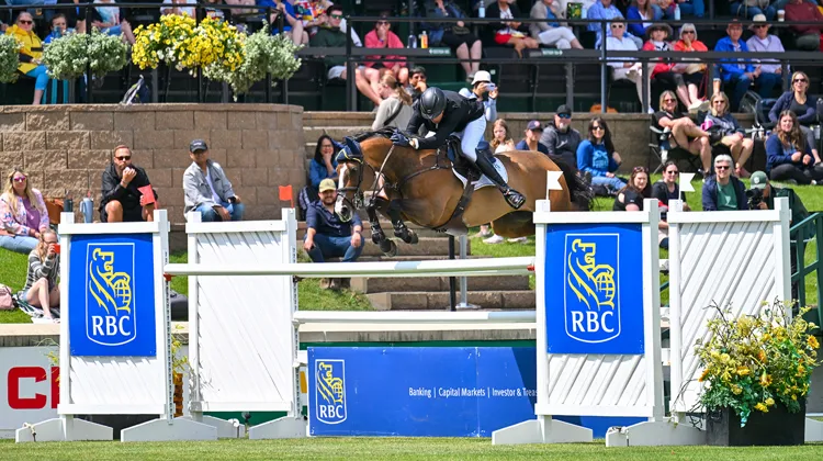 Vaclav Stanek et Quintin ont remporté hier le Grand Prix RBC du Canada, présenté par Rolex.