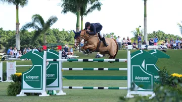 McLain Ward et Contagious à Wellington