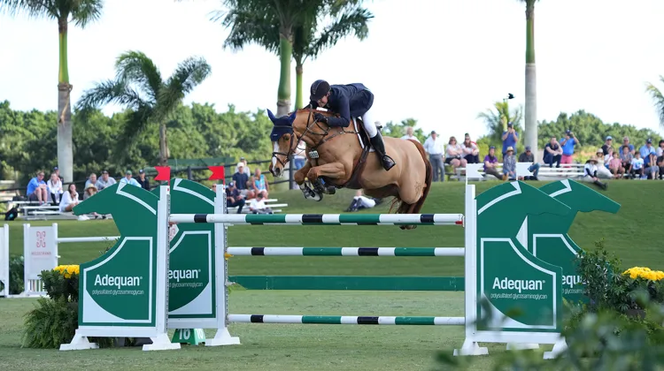 McLain Ward et Contagious à Wellington