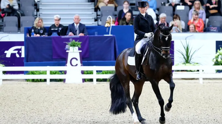 Morgan Barbançon-Mestre et Sir Donnerhall II participeront à leur quatrième finale.