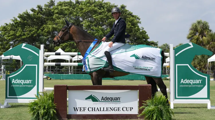 Bertram Allen a décroché une nouvelle fois la victoire avec Pacino Amiro, à Wellington
