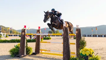 Grâce à Orafina, Kent Farrington a gagné son quinzième Grand Prix international de l’année.