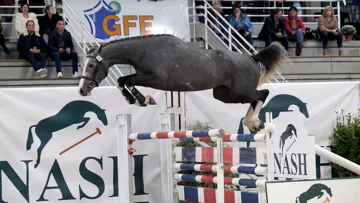 Instagram d'Arcos (SF, Malito de Rêve x Sisley de la Tour Vidal), adjugé 46.000 euros vendredi soir. 