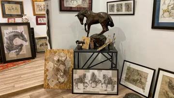 Quelques oeuvres de Marine Oussedik.