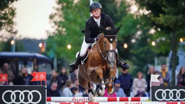 Évoluant en CSI5* sous la selle du Belge Jérôme Guéry, ici aux Bruxelles Stephex Masters l’an dernier, Eras Ste Hermelle est le bijou du moment de l’élevage Sainte-Hermelle.