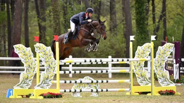 N’ayant pas encore retrouvé sa condition d’antan depuis sa myosite, Birmane, ici au CCI 4*-L de Saumur, pourrait être consacrée au saut d’obstacles, pour lequel elle montre d’excellentes aptitudes.