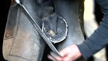 Le phénomène des “pieds-nus” a gagné en popularité en France ces dernières années, notamment dans monde du saut d'obstacles de haut niveau, dont Julien Épaillard est un ambassadeur. 