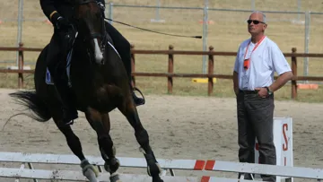Associé à l’Anglo-Arabe Olifant Charrière, Serge Cornut, autrefois cavalier, a terminé trente-septième des Jeux olympiques de Barcelone, en 1992.
