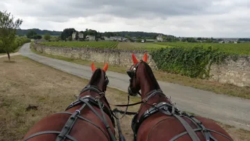 Au-delà des oreilles d’Actyon et d’Uranus, qui tirent la première voiture, s’étend le domaine de Chaintres.
