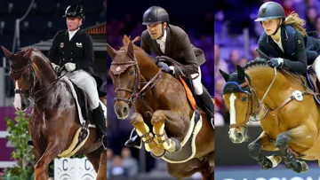 Bella Rose 2, Hermès Ryan des Hayettes et Quabar des Monceaux ont tous trois marqué le sport. 