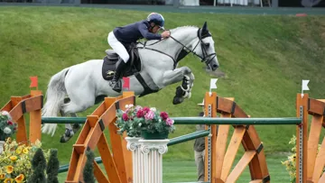 Bien que toujours sous la selle du Bordelais, Vangog du Mas Garnier pourrait quitter Olivier Robert à tout moment...