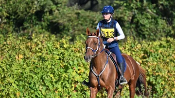 Monté par Carla Mosti, Gianni d’Armani a fait rayonner l’élevage du mas d’Armani en décrochant le titre de champion des six ans à Uzès.