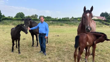 Ayant repris les rênes de la ferme familiale de Courcelles, Thomas Ponthieu oscille aujourd’hui entre ses activités d’éleveur, cavalier et marchand de chevaux.