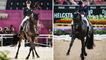 TSF Dalera BB et Glamourdale, les cracks de Jessica von Bredow-Werndl et Charlotte Fry, respectivement à gauche et à droite, risquent de livrer une belle bataille cette année sur le ring de dressage.