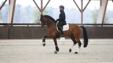 Alexandre Ayache et sa meilleure jument Jolene. 