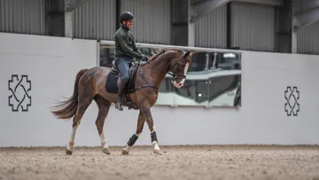 Travailler avec sérieux mais sans se prendre au sérieux pourrait assez bien résumer la démarche équestre du numéro un mondial.