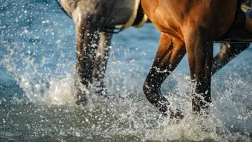 Au CSI 5* de Caen, comme au CSIO 5* de La Baule, les cavaliers sont encouragés à emmener leurs chevaux à la plage.