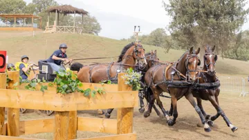 Pleinement concentré sur l’attelage à quatre chevaux depuis deux ans, Maxime Maricourt est le nouveau visage de l’équipe de France, dont il a fait partie aux championnats d’Europe d’Exloo, fin août.