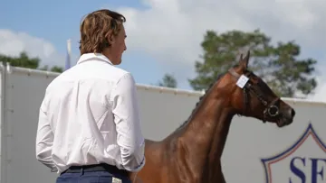 La formation des Young Breeders reprend de plus belle !