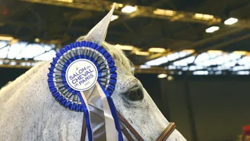 Le Salon du cheval de Paris fera son retour dans la capitale du 6 au 8 décembre 2024. 