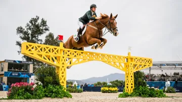 Pour les Jeux olympiques de Paris, Pedro Veniss est assuré de pouvoir conserver Nimrod de Muze*Império Egípcio sous sa selle.