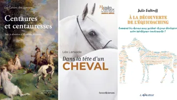 Notre dernière sélection littéraire.