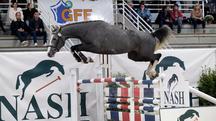 Instagram d'Arcos (SF, Malito de Rêve x Sisley de la Tour Vidal), adjugé 46.000 euros vendredi soir. 