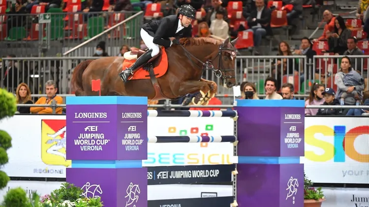 Simon Delestre et son prodigieux alezan brûlé lors de leur deuxième victoire consécutive à Vérone dimanche.