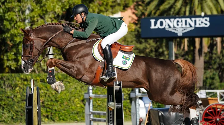 Avec sa superbe robe alezan brûlé et son look si charmant, Quabri de l'Isle a conquis les coeurs de nombreux fans.