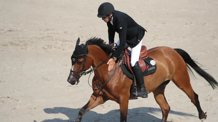 Une caresse bien méritée, après un nouveau sans-faute de Glamour Girl, la complice d'Henrik von Eckermann.
