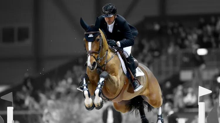 Fine Lady 5 avait brillé à Genève, en remportant le finale du Top Ten en 2016.