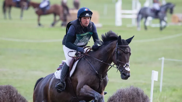 Acheté à trois ans et formé dès son plus jeune âge par Ugo Provasi, Rafal de l’Éden a permis à ce dernier de faire mûrir son équitation.