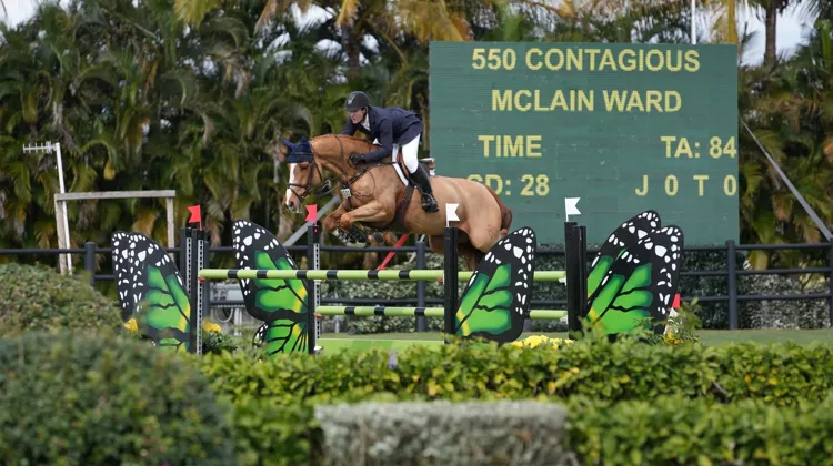 Depuis les Jeux olympiques, Contagious, le partenaire de McLain Ward, a atteint un nouveau niveau de régularité.