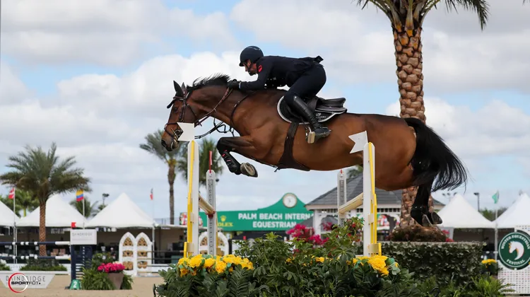 Lorenzo de Luca et Dirka de Blondel.