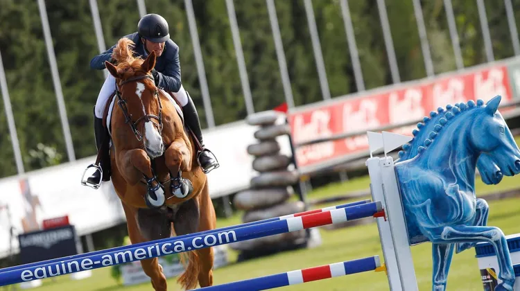 Premier Grand Prix 4* et première victoire pour Nimrod de Muze !