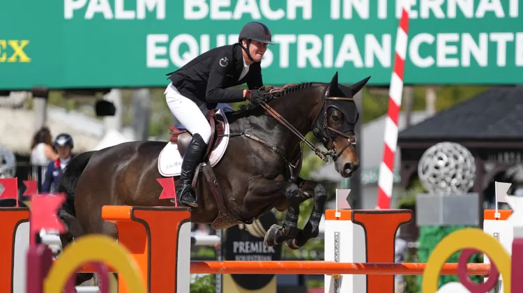 Jos Verlooy et Luciano Van Het Geinsteinde au CSIO 4* de Wellington