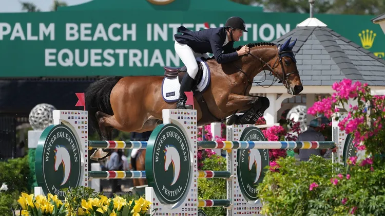 McLain Ward et Catoki en route pour une nouvelle victoire.