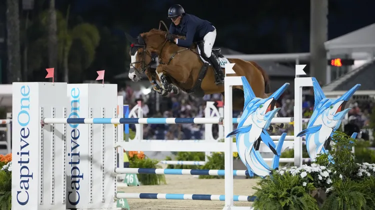 Paul O'Shea et Chancelloress font retentir l’hymne irlandais à Wellington