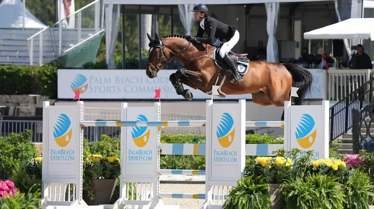 Darragh Kenny s'est imposé dans le Grand Prix CSI 4* avec Volnay du Boisdeville, à Wellington
