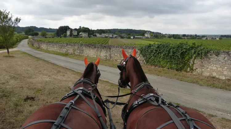 Au-delà des oreilles d’Actyon et d’Uranus, qui tirent la première voiture, s’étend le domaine de Chaintres.