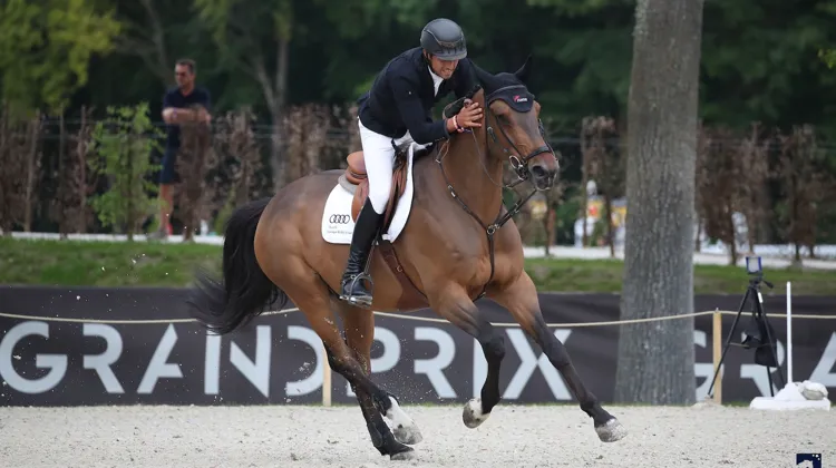 Après Bourg-en-Bresse, Victor Bettendorf et Mr. Tac ont inscrit un nouveau Grand Prix à leur palmarès.