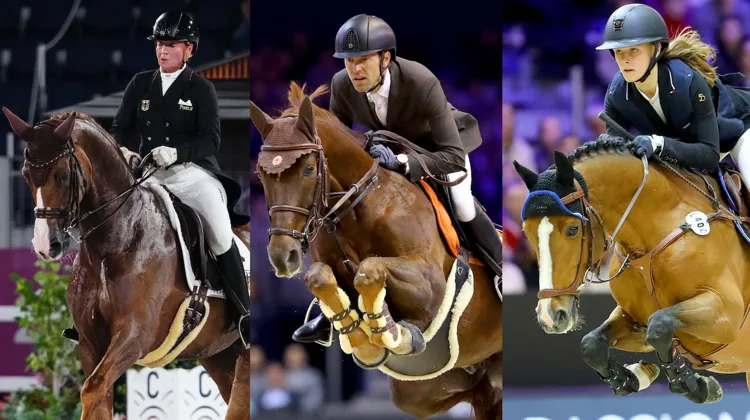 Bella Rose 2, Hermès Ryan des Hayettes et Quabar des Monceaux ont tous trois marqué le sport. 