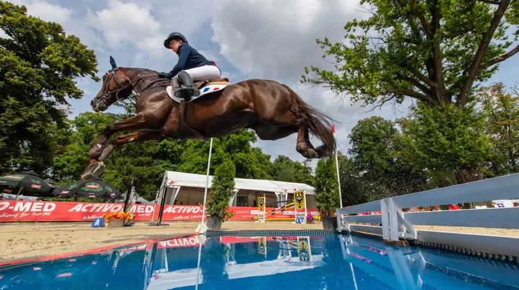 Vedouz de Nestin, double médaillé d’or aux championnats d’Europe de Strzegom l’été dernier avec la Française Jeanne Hirel, avant d’être exporté en Grande-Bretagne, symbolise le succès des poneys français.