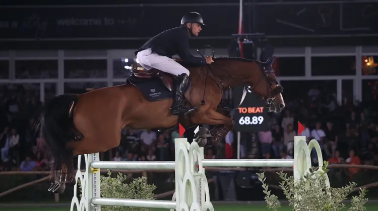 Début de concours parfait pour Wilm Vermeir! 