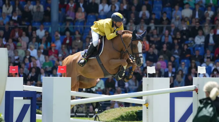 Aujourd'hui, la victoire a été plus qu'un succès sportif pour Yuri Mansur et son entourage!