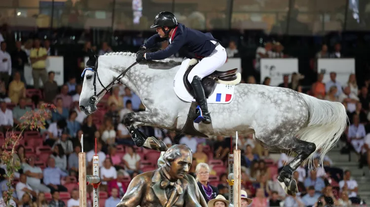 Grégory Cottard et Bibici lors de leurs premiers championnats du monde, à Herning. 
