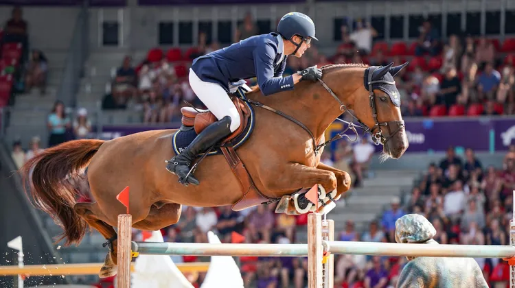 King Edward, sacré champion du monde avec Henrik von Eckermann, présente un pedigree qui aurait pu le conduire à s’épanouir en dressage.