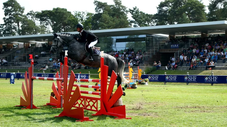 Essentiel à la production d’un cheval de sport, le formateur de jeunes sujets n’est pas pour autant le métier le plus facile en termes de conditions et équilibre financier.