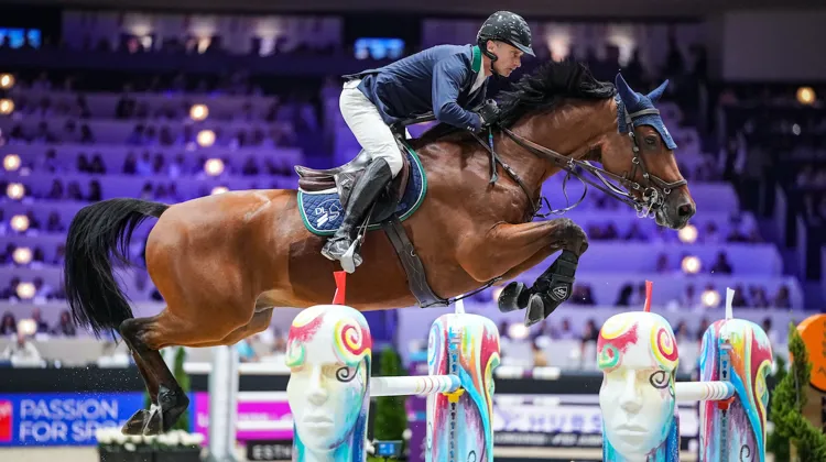 Après un week-end lyonnais en demi-teinte, Denis Lynch et GC Chopin’s Bushi se sont rattrapés aujourd'hui à Vérone. 